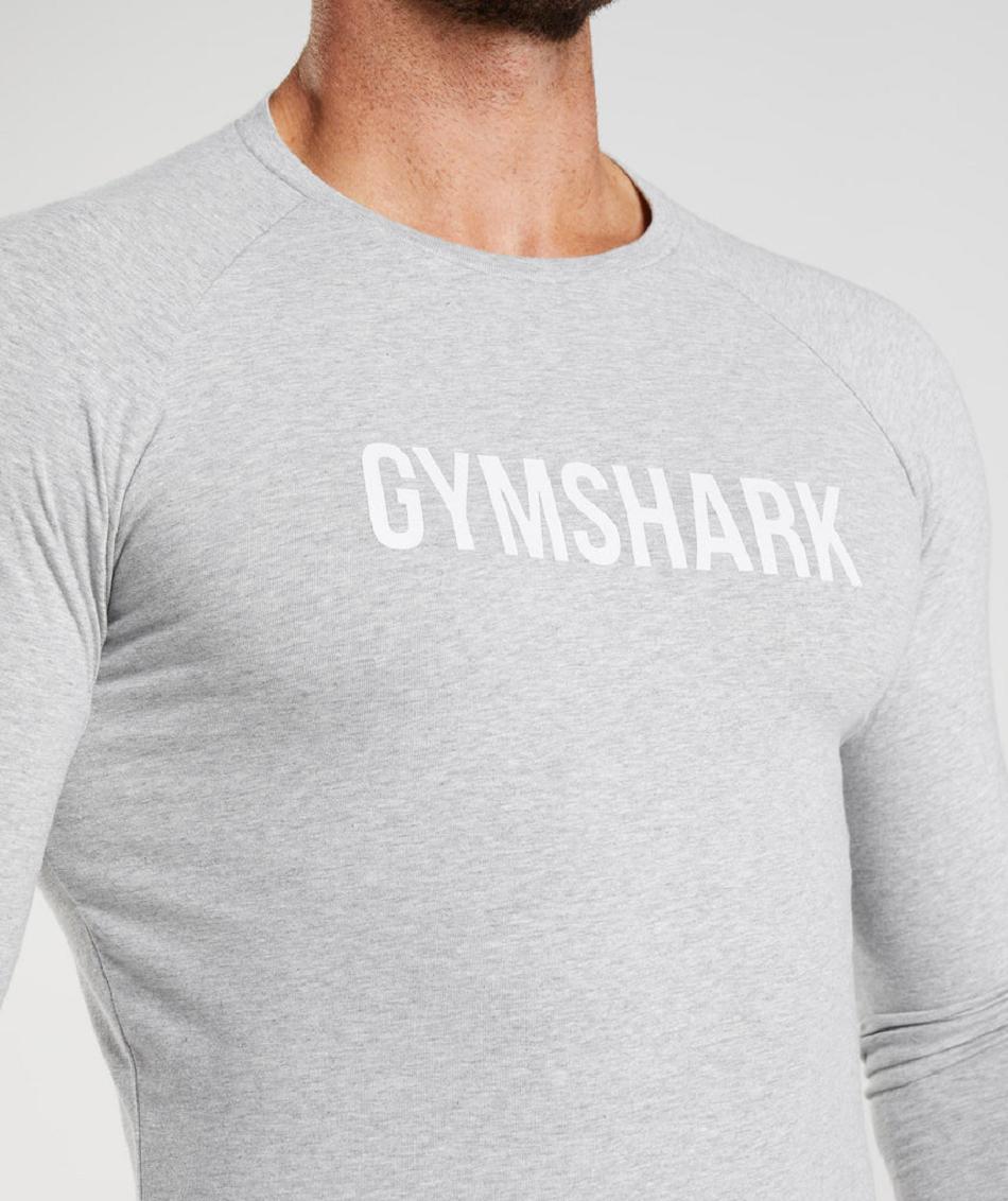 Long Sleeve Męskie Gymshark Apollo Głęboka Szare | PL 3686GSO